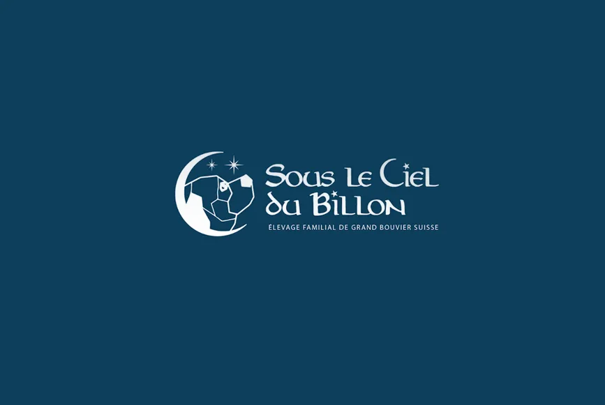 Logo sous le ciel du billon