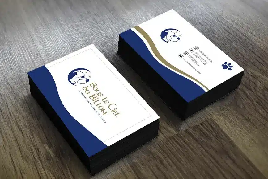 Sous le ciel du billon carte com